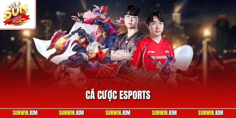 Cá Cược Esports – Xu Hướng Giải Trí Thể Thao Số Lên Ngôi