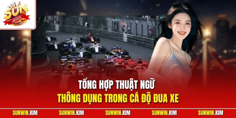 Tổng hợp thuật ngữ thông dụng trong cá độ đua xe